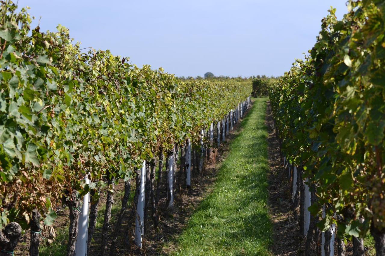 Zauber Der Pfalz Romerberg Экстерьер фото