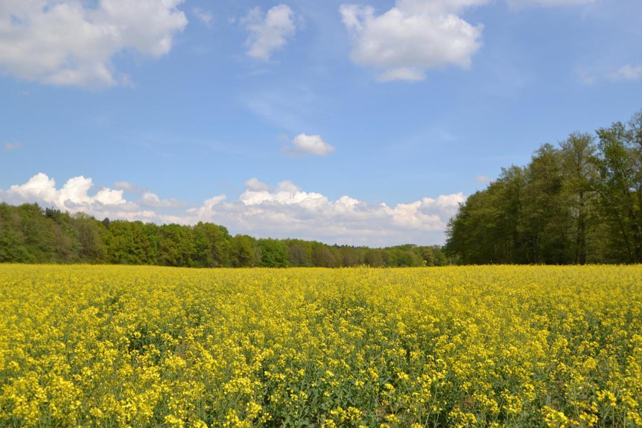 Zauber Der Pfalz Romerberg Экстерьер фото